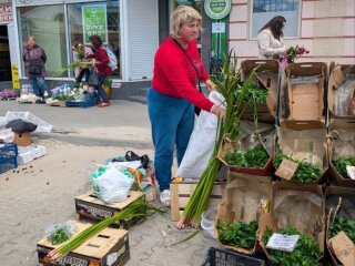 Пучки лепехи (аїру) — традиційна зелень, якою українці прикрашають оселі на Трійцю