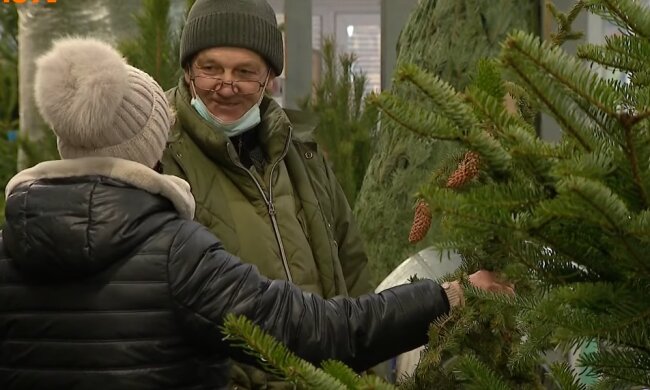 Продажа елок, скриншот с видео