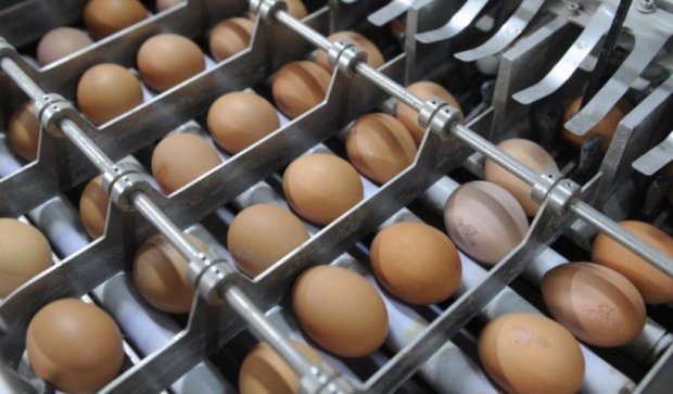 Ізраїль дозволив Україні експортувати яйця