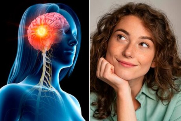 Нове дослідження жіночого мозку показало цікаві результати