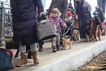 Перевезення тварин, кадр з відео