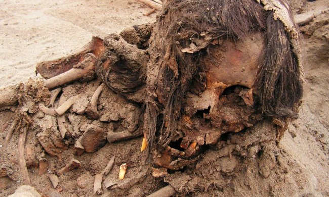 Закалывали и вырезали сердца: в Перу умертвили сотни детей
