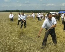 Примхи природи: якого врожаю чекати українцям