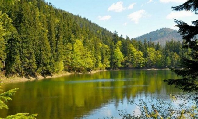 Заповідники в Карпатах розширять на 80 тисяч гектарів