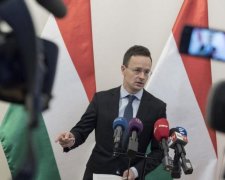 Мовний скандал: Угорщина підклала Україні велику свиню