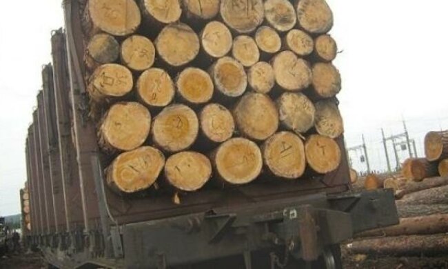Активісти затримали контрабанду на Львівщині