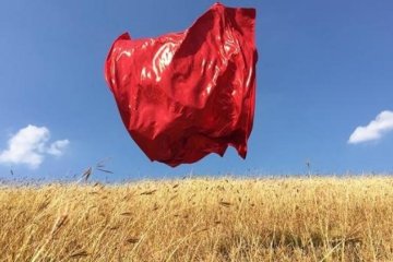 ТОП-16 лучших снимков, сделанных на iPhone (фото)