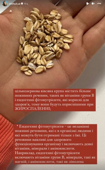 Stories Ксенії Мішиної, скріншот: Instagram