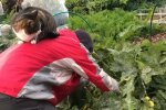 Город, фото: скріншот з відео