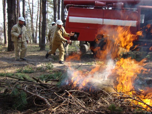 Харьковщина в огне: десятки пожаров за сутки, спасатели сбились с ног