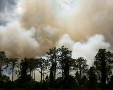 територія Кінбурнського півострова