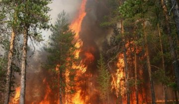Масштабна пожежа на Луганщині знищила 22 будівлі
