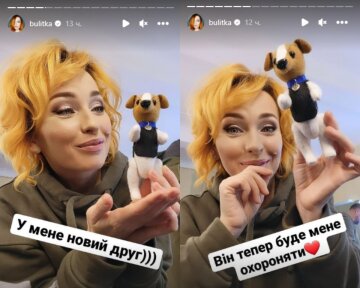 Скриншот из Insta Stories, Виктория Булитко