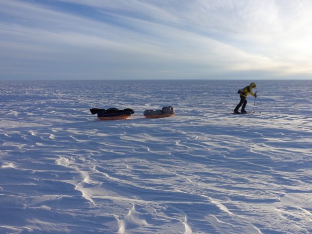 Энтузиаст с рюкзаком и саночками покорил Антарктиду, шел по 30 км в сутки: в конце пути случилось невероятное