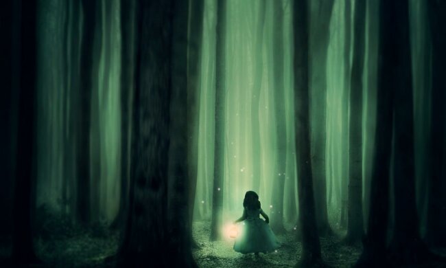 Жива гірлянда - навіщо світлячки світяться в темряві