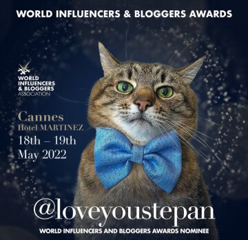 Кота Степана номінували на World Influencers and Bloggers Awards 2022