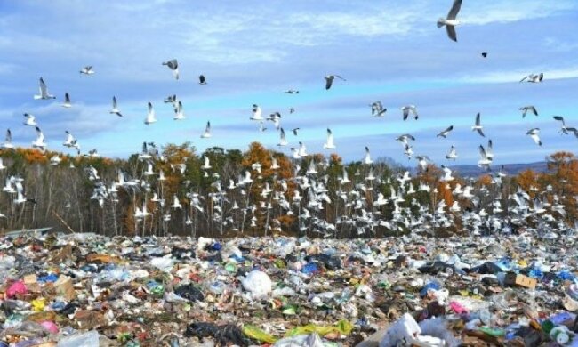 Украина будет утопать в мусоре уже за 5 лет
