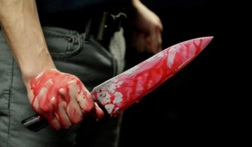 Харьковчанин зарубил владельца квартиры из-за аренды (видео)