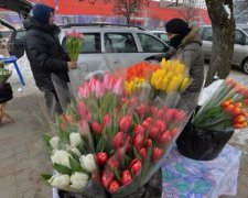 Бандитський Кропивницький: ящик тюльпанів став бажаною здобиччю грабіжників