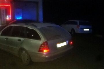 П'яний водій ледь не вбив поліцейського (фото)