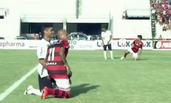  Дикі бджоли зупинили футбольний матч в Бразилії (відео)