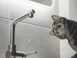 Отключение воды в Одессе 28 августа 2026