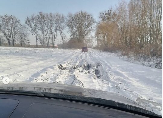 На Київщині сотні тварин опинилися в сніговій пастці, рятувати - нікому: "Ситуація критична"
