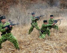 У мережі порівняли військові потужності двох Корей