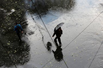 Погода на вихідні: українці на собі відчують всі "принади" весни