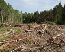 У Гройсмана з’явився новий радник - дядько Сем