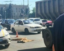 Харьковчанин лишился головы в жуткой аварии
