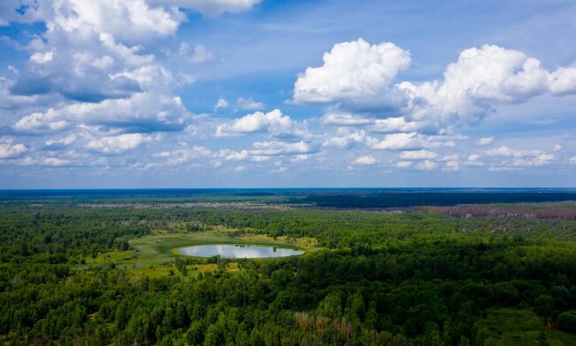 фото: Денис Вышневский / Facebook: Чернобыльский Радиационно-экологический Биосферный Заповедник