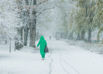 Снег, зима, фото из соцсетей