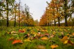 Вихідний почнеться з сюрпризів: синоптики здивували харків'ян прогнозом на 27 жовтня