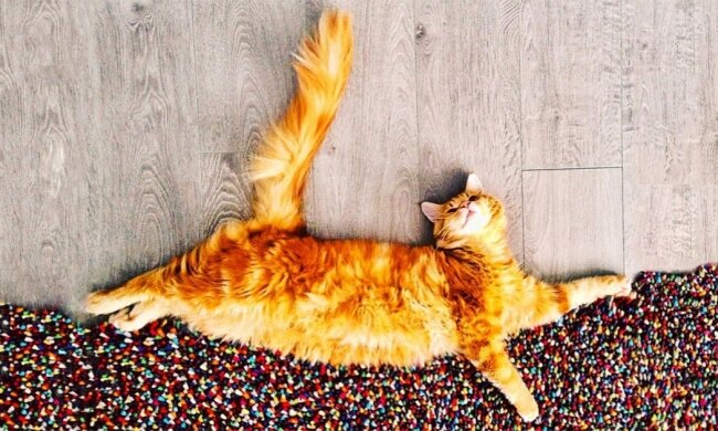 Анекдоти на 12 жовтня зарядять вас позитивом на рік вперед