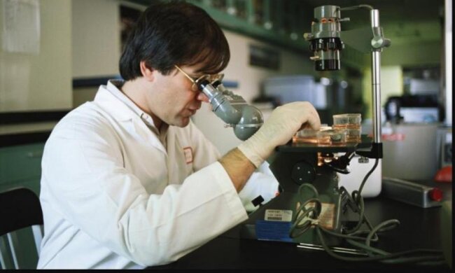 Вчені знайшли спосіб побороти рак раз і назавжди