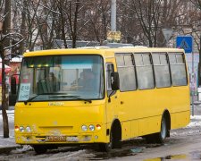 Охамевший маршрутчик расплакался, нарвавшись на ветеранов АТО: смелость как рукой сняло