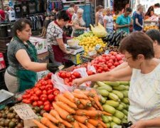 Новые цены на картошку заставят украинцев возненавидеть пюре: "Почти в полтора раза"