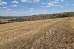 Незаконне використання лісових земель