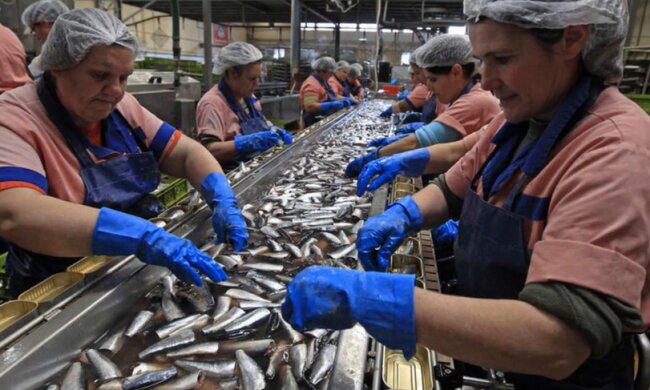 Разъяренная заробитчанка раскрыла подлую схему мошенников для Польши на всю Украину, подробности