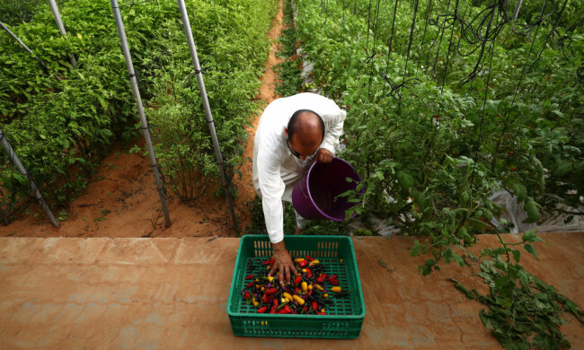 Город, фото: Getty Images