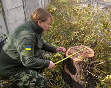 Держекоінспекція