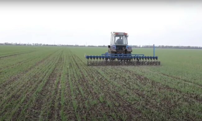 ринок землі, скріншот з відео