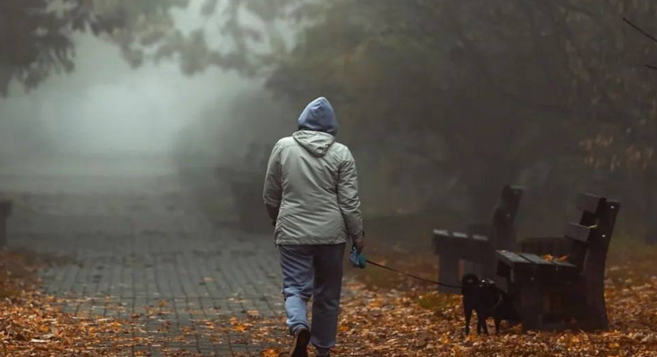 Українці, осінь, туман, фото із соцмереж