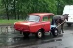 Транспорт в Ровно, скриншот: Instagram