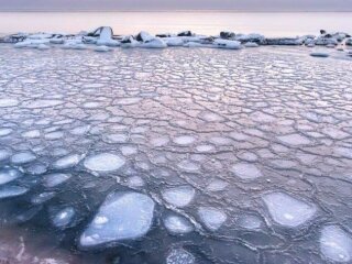 Фото: "Медузы" в Азовском море