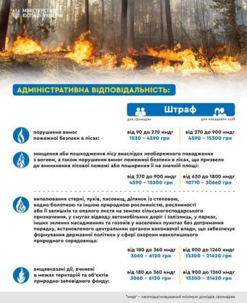 Адміністративна відповідальність за спалювання листя: фото Міністерство юстиції України