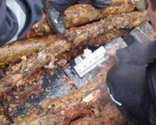 На Закарпатті контрабандні цигарки виявили у поїзді під вантажем лісу (фото, відео)