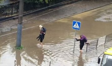 Полицейские Львова на руках выносили пассажиров маршрутки (видео)