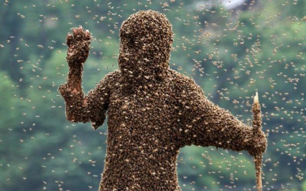Десятки тисяч бджіл відправили співробітників Манхеттена додому